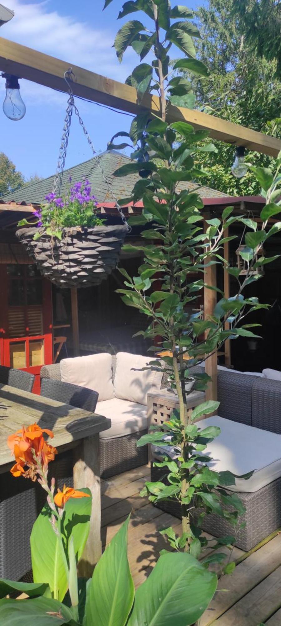 "Tempat Senang" Chalet On The Beautiful Veluwe With Airco Sauna Bbq Jacuzzi Beamer And Dog Putten Exterior foto